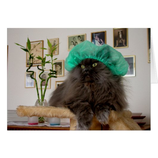 Doctor Romeo (Voorkant Horizontaal)