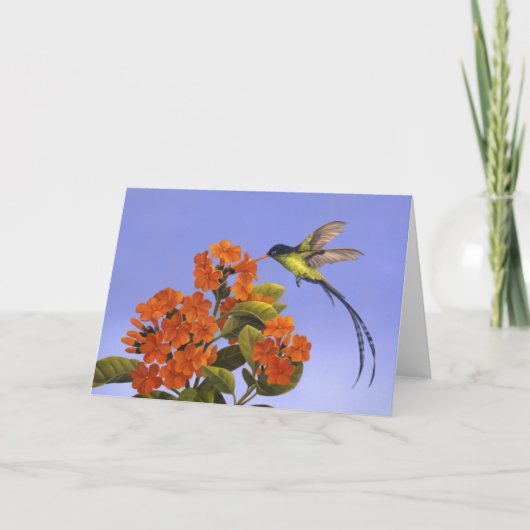 Doctorbird - Nationale vogel van Jamaïca Kaart (Voorkant)