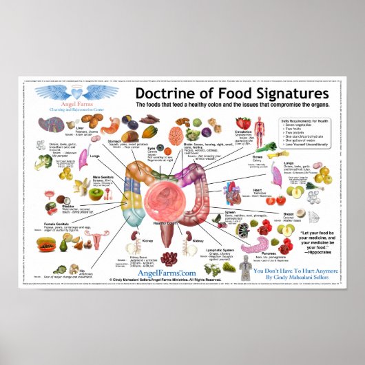 Doctrine van voedselhandtekeningen poster (Voorkant)