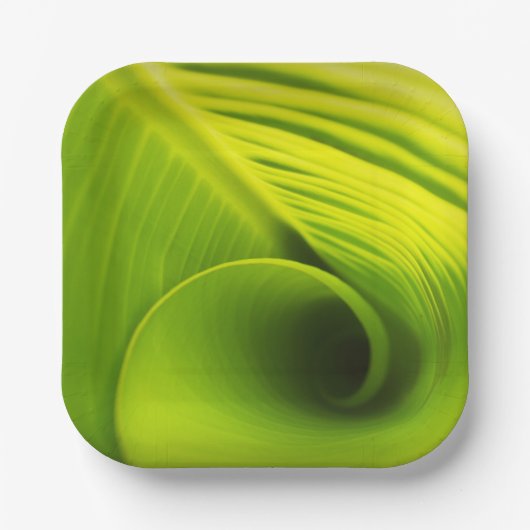 Document Bord."Milieuvriendelijke Elegantie: Blado Papieren Bordje (Voorkant)