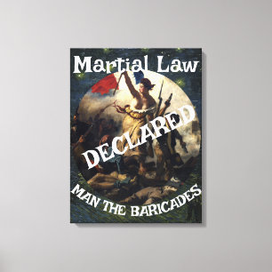 DOD DOJ EPA TRUMP VERKLAART MARTIAL LAW BARRICADES CANVAS AFDRUK