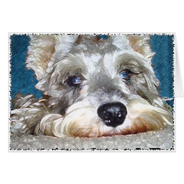 DOD: Mini German Schnauzer So Cute (Voorkant Horizontaal)