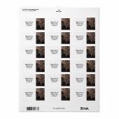 Dodde einddraak is op zoek naar wat diner - u etiket (Full Sheet)