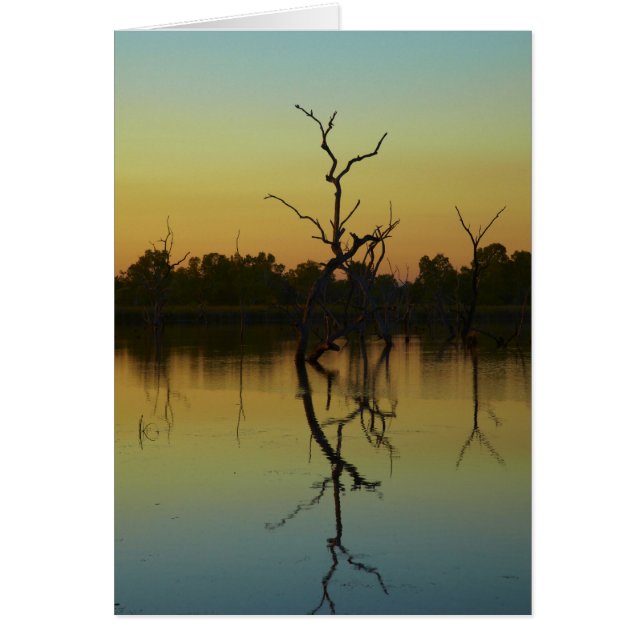 Dode bomen in Lily Creek Lagoon, zonsopgang (Voorkant)