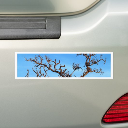 dode boom bumpersticker (Op auto)