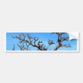 dode boom bumpersticker (Voorkant)