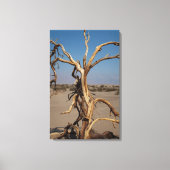 Dode boom canvas afdruk (Voorkant)