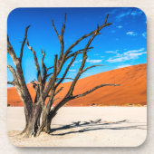 Dode boom in Deadvlei, Namibië Bier Onderzetter (Voorkant)