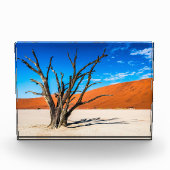 Dode boom in Deadvlei, Namibië Fotoblokken (Voorkant)