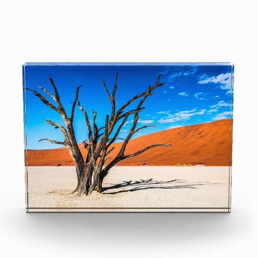 Dode boom in Deadvlei, Namibië Fotoblokken (Voorkant)