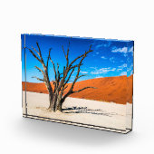 Dode boom in Deadvlei, Namibië Fotoblokken (Rechts)