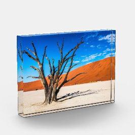 Dode boom in Deadvlei, Namibië Fotoblokken