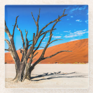 Dode boom in Deadvlei, Namibië Glazen Onderzetter
