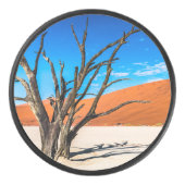 Dode boom in Deadvlei, Namibië Hockey Puck (Voorkant)