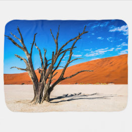 Dode boom in Deadvlei, Namibië Inbakerdoek