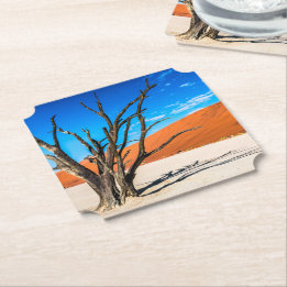 Dode boom in Deadvlei, Namibië Kartonnen Onderzetters