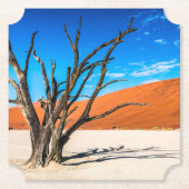 Dode boom in Deadvlei, Namibië Kartonnen Onderzetters (Voorkant)