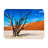 Dode boom in Deadvlei, Namibië Magneet (Horizontaal)