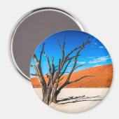 Dode boom in Deadvlei, Namibië Magneet (Voorkant / Achterkant)