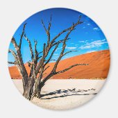Dode boom in Deadvlei, Namibië Magneet (Voorkant)