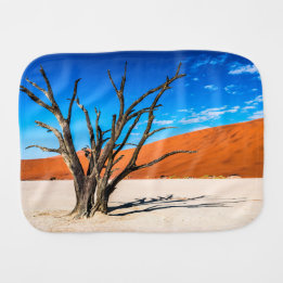 Dode boom in Deadvlei, Namibië Monddoekje