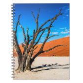 Dode boom in Deadvlei, Namibië Notitieboek (Voorkant)