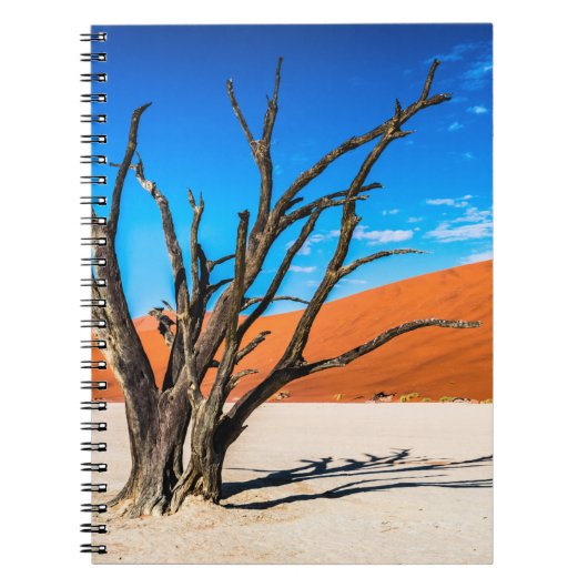 Dode boom in Deadvlei, Namibië Notitieboek (Voorkant)