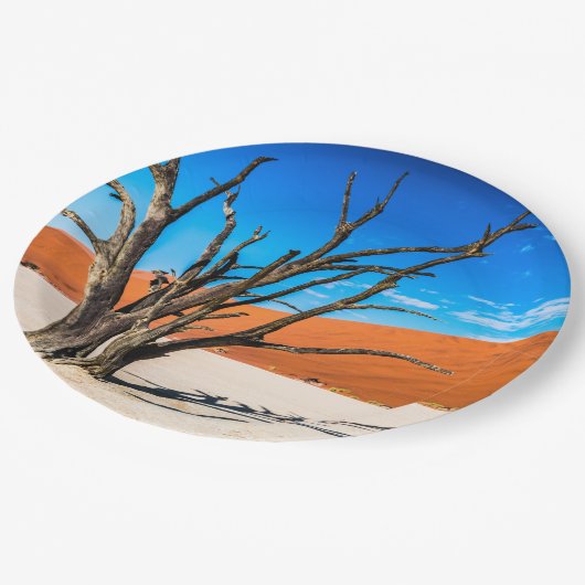 Dode boom in Deadvlei, Namibië Papieren Bordje (Gekanteld)
