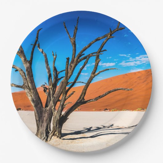 Dode boom in Deadvlei, Namibië Papieren Bordje (Voorkant)