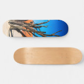 Dode boom in Deadvlei, Namibië Persoonlijk Skateboard (Horizontaal)