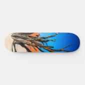 Dode boom in Deadvlei, Namibië Persoonlijk Skateboard (Horizontaal)
