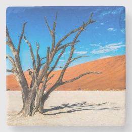 Dode boom in Deadvlei, Namibië Stenen Onderzetter