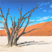 Dode boom in Deadvlei, Namibië Sticker (Voorkant)