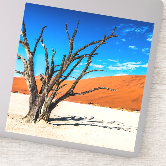 Dode boom in Deadvlei, Namibië Sticker (Detail)