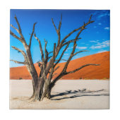 Dode boom in Deadvlei, Namibië Tegeltje (Voorkant)