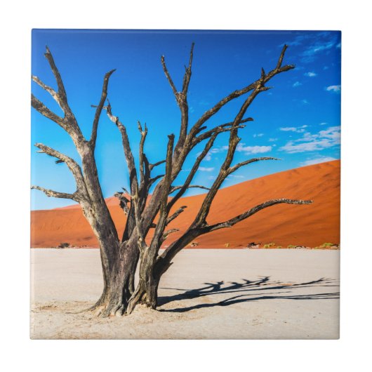 Dode boom in Deadvlei, Namibië Tegeltje (Voorkant)