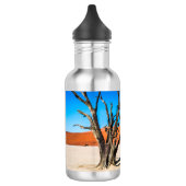Dode boom in Deadvlei, Namibië Waterfles (Links)
