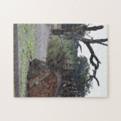 Dode boom legpuzzel (Horizontaal)