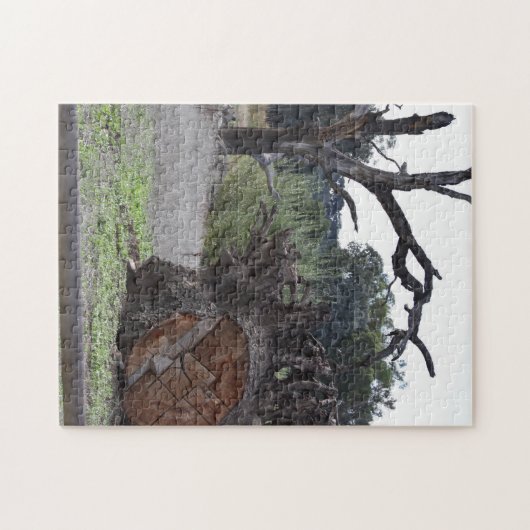 Dode boom legpuzzel (Horizontaal)