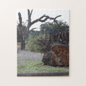 Dode boom legpuzzel (Verticaal)