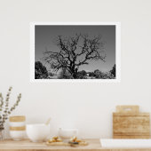 Dode boom poster (Keuken)