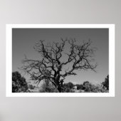 Dode boom poster (Voorkant)