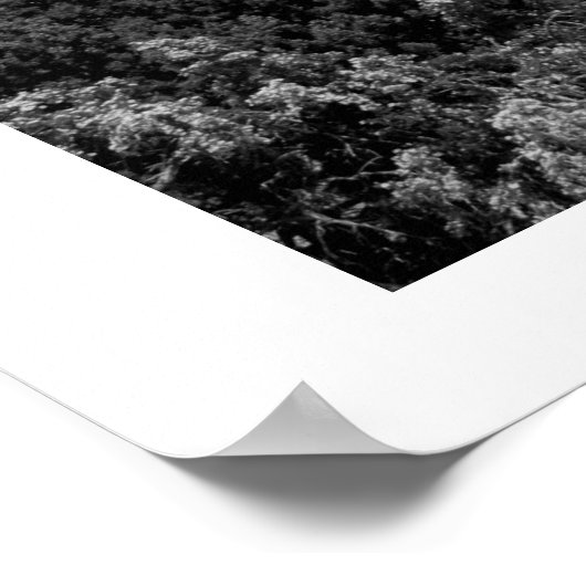 Dode boom poster (Hoek)