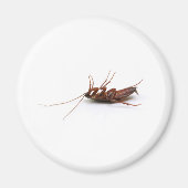 Dode cockroach magneet (Voorkant)