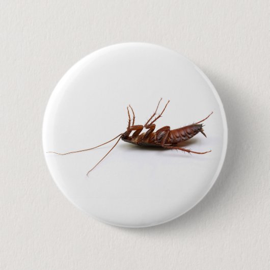 Dode cockroach ronde button 5,7 cm (Voorkant)