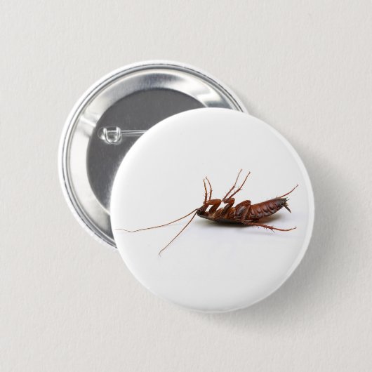 Dode cockroach ronde button 5,7 cm (Voorkant /achterkant)