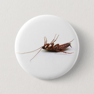 Dode cockroach ronde button 5,7 cm