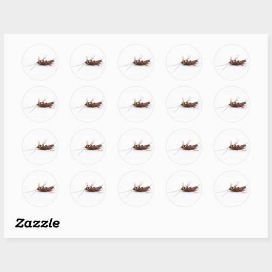 Dode cockroach ronde sticker (Vel)
