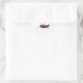 Dode cockroach ronde sticker (Tas)