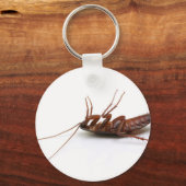 Dode cockroach sleutelhanger (Voorkant)